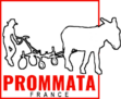 Prommata