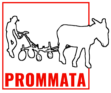 Prommata